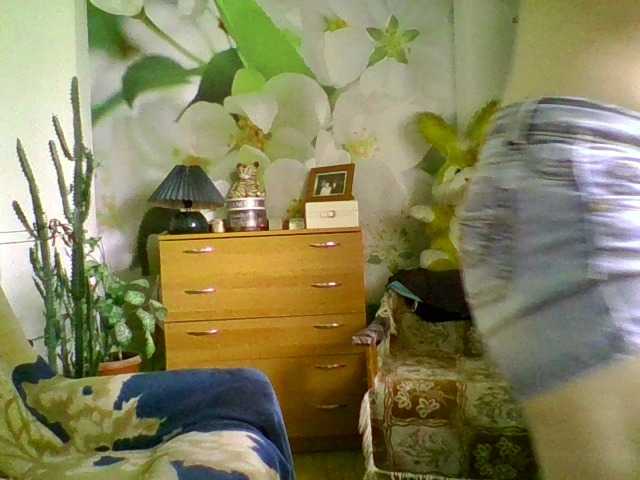 Capturas de tela de transmissão jannina