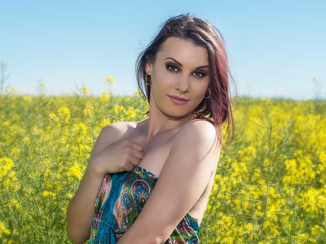 Foto do perfil Kari-Queen