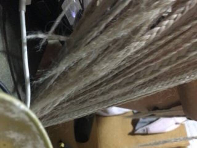 Capturas de tela de transmissão kataleya13