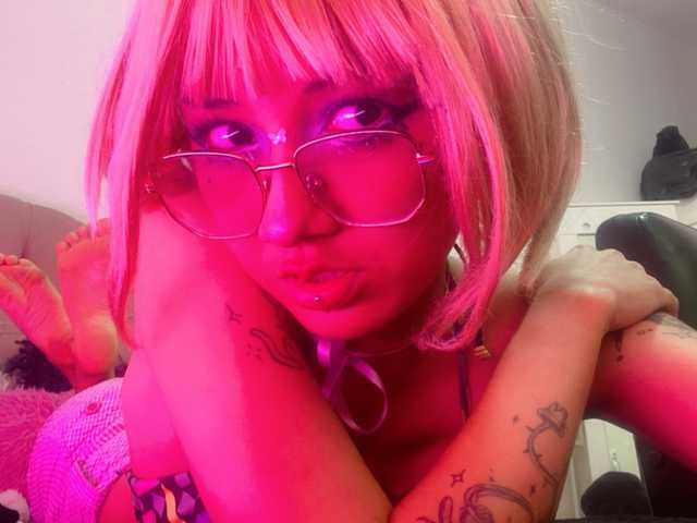 Foto do perfil kitty-scream