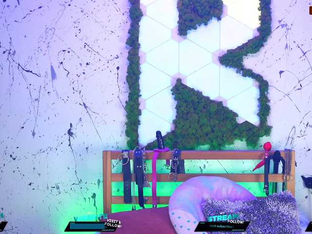 Capturas de tela de transmissão Kittygy