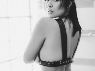 Foto do perfil LaurenDallas