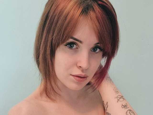 Foto do perfil LazyTanukii