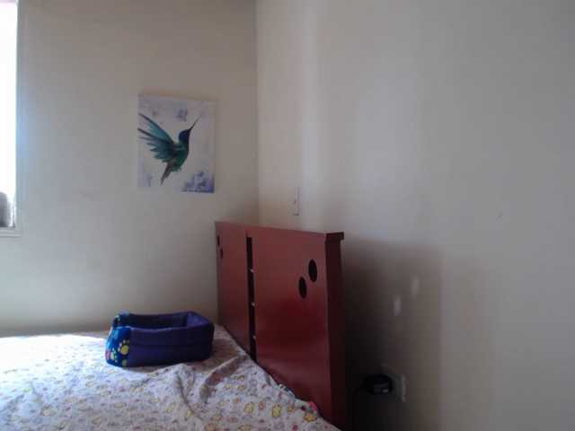 Capturas de tela de transmissão LillyBrooks