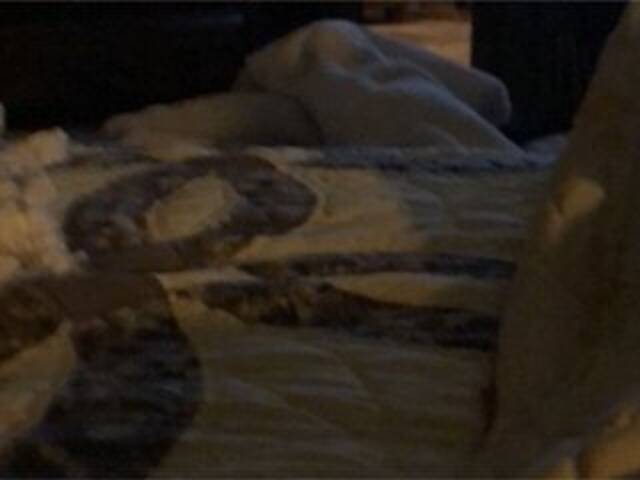 Capturas de tela de transmissão Littleshorty