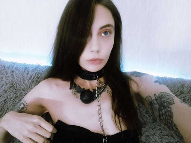 Foto do perfil Lustica