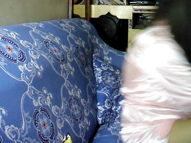 Capturas de tela de transmissão mangogirl28
