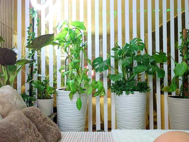 Capturas de tela de transmissão -Violettttta-