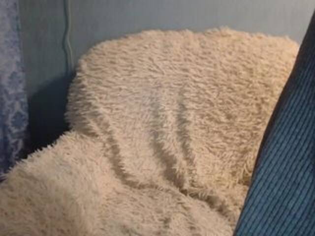 Capturas de tela de transmissão __VESNA__