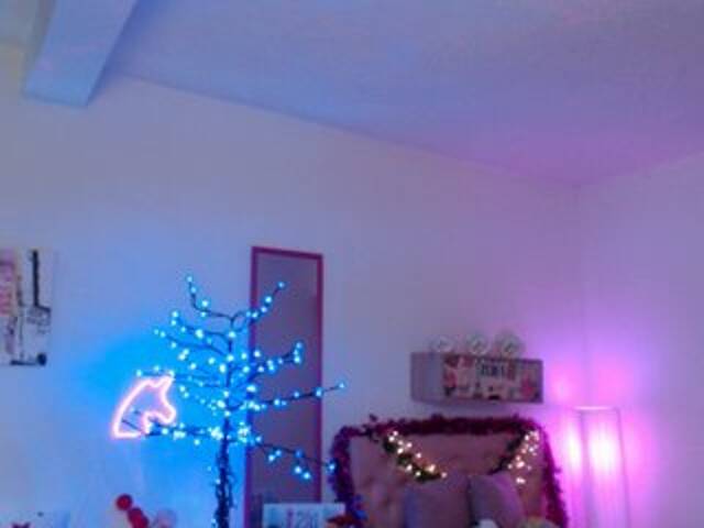 Capturas de tela de transmissão Miss-Bonnie