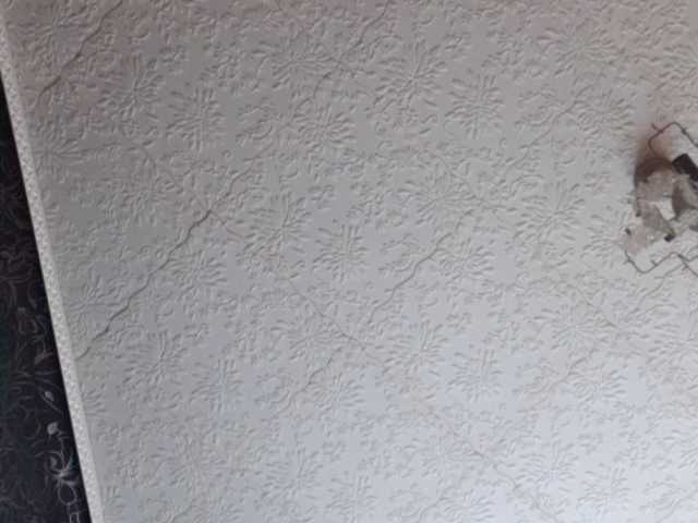 Capturas de tela de transmissão Miss7326