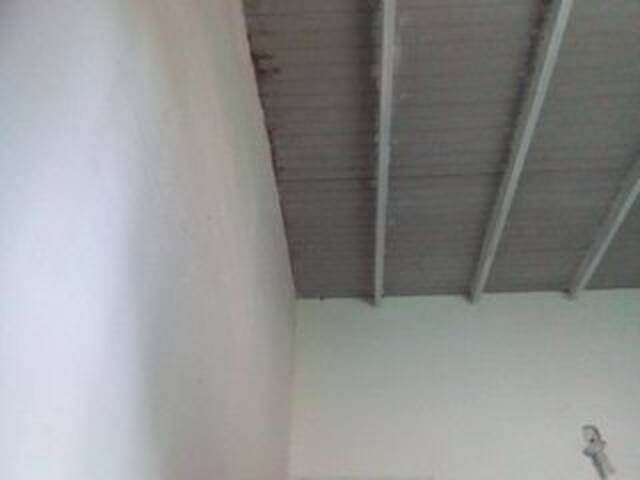 Capturas de tela de transmissão misscute