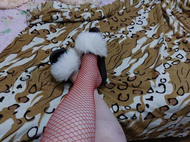 Foto do perfil Amaneut