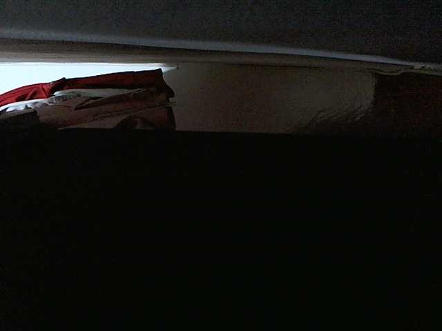 Capturas de tela de transmissão nicolcurt