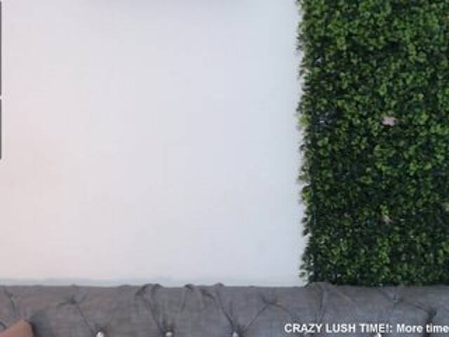 Capturas de tela de transmissão NicoleThomas