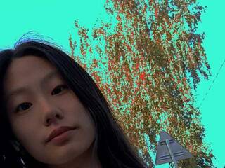 Chat de vídeo erótico nik-for