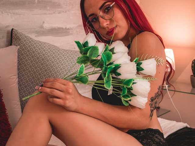 Foto do perfil nikypalmer
