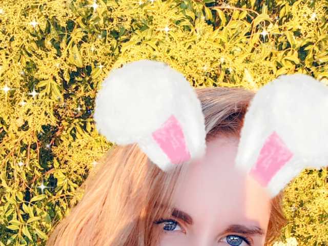 Foto do perfil Nilkibunnyxo