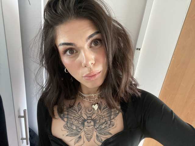 Foto do perfil NovaSin
