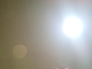Chat de vídeo erótico PanteraNeagra