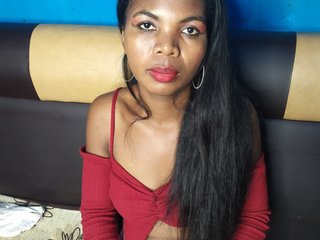 Chat de vídeo erótico Perleyou
