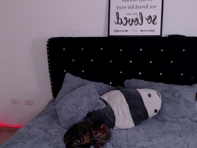 Capturas de tela de transmissão pervertlykloe