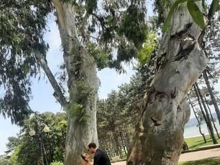 Chat de vídeo erótico PUPI-DEL-REY