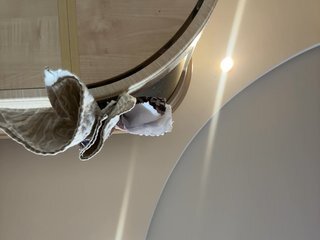 Chat de vídeo erótico Pussynajussy