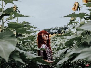 Chat de vídeo erótico pussyxpaladin