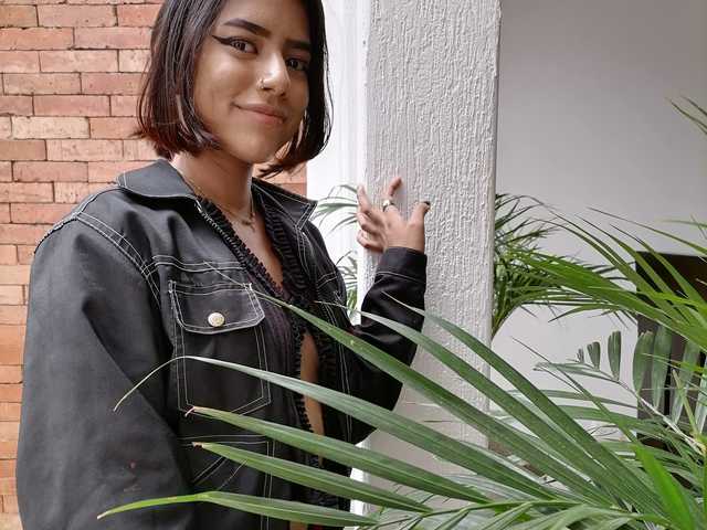 Foto do perfil Scarleet-Fox