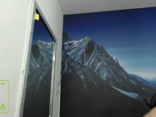 Capturas de tela de transmissão seleneh