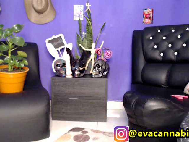 Capturas de tela de transmissão evacannabithc