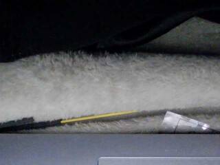 Chat de vídeo erótico sexysapphiresweet