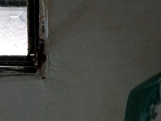 Chat de vídeo erótico shelbyn