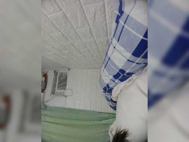 Capturas de tela de transmissão single332