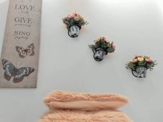 Capturas de tela de transmissão small-bella