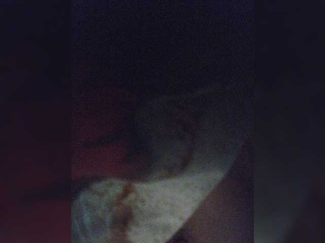 Capturas de tela de transmissão small-cat