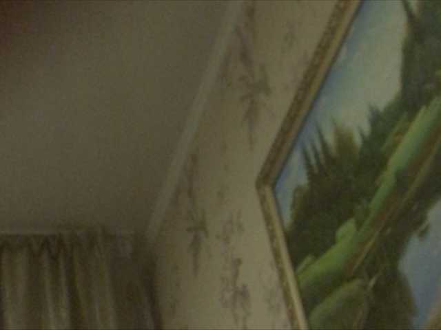 Capturas de tela de transmissão Sobakakisa