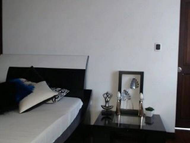 Capturas de tela de transmissão StaceyWood