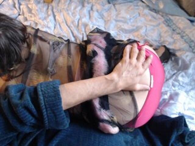 Capturas de tela de transmissão Masha_Ivanova