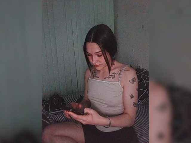 Capturas de tela de transmissão Stasia533