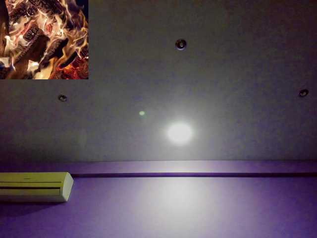 Capturas de tela de transmissão SweetElize