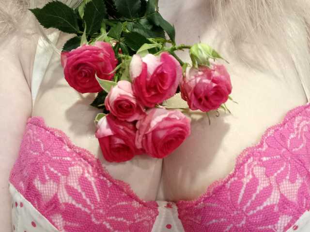 Foto do perfil SweetFox