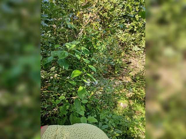 Capturas de tela de transmissão AliceWarren