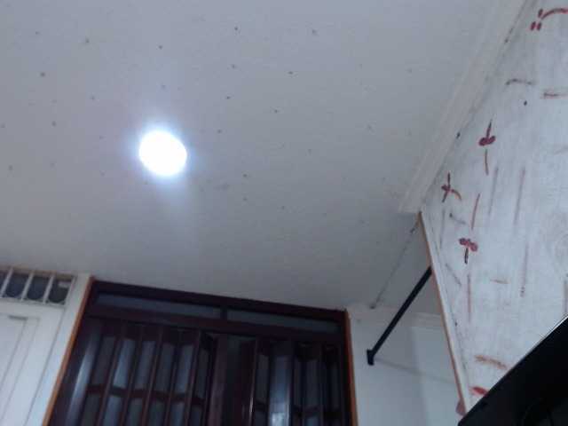 Capturas de tela de transmissão Totalslave