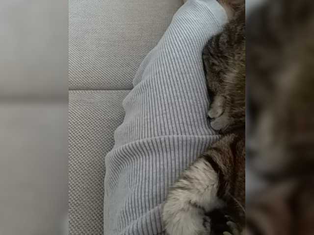 Capturas de tela de transmissão GolayaPravda