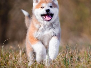 Chat de vídeo erótico Val309a