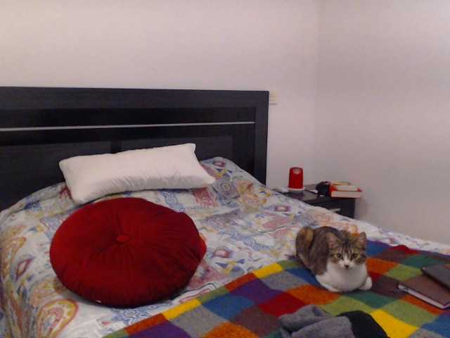Capturas de tela de transmissão vanelatin