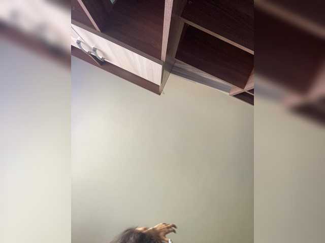 Capturas de tela de transmissão Varvara777a