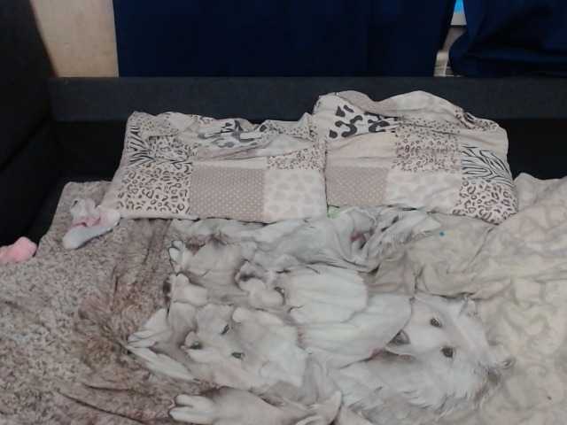 Capturas de tela de transmissão VikiMax69